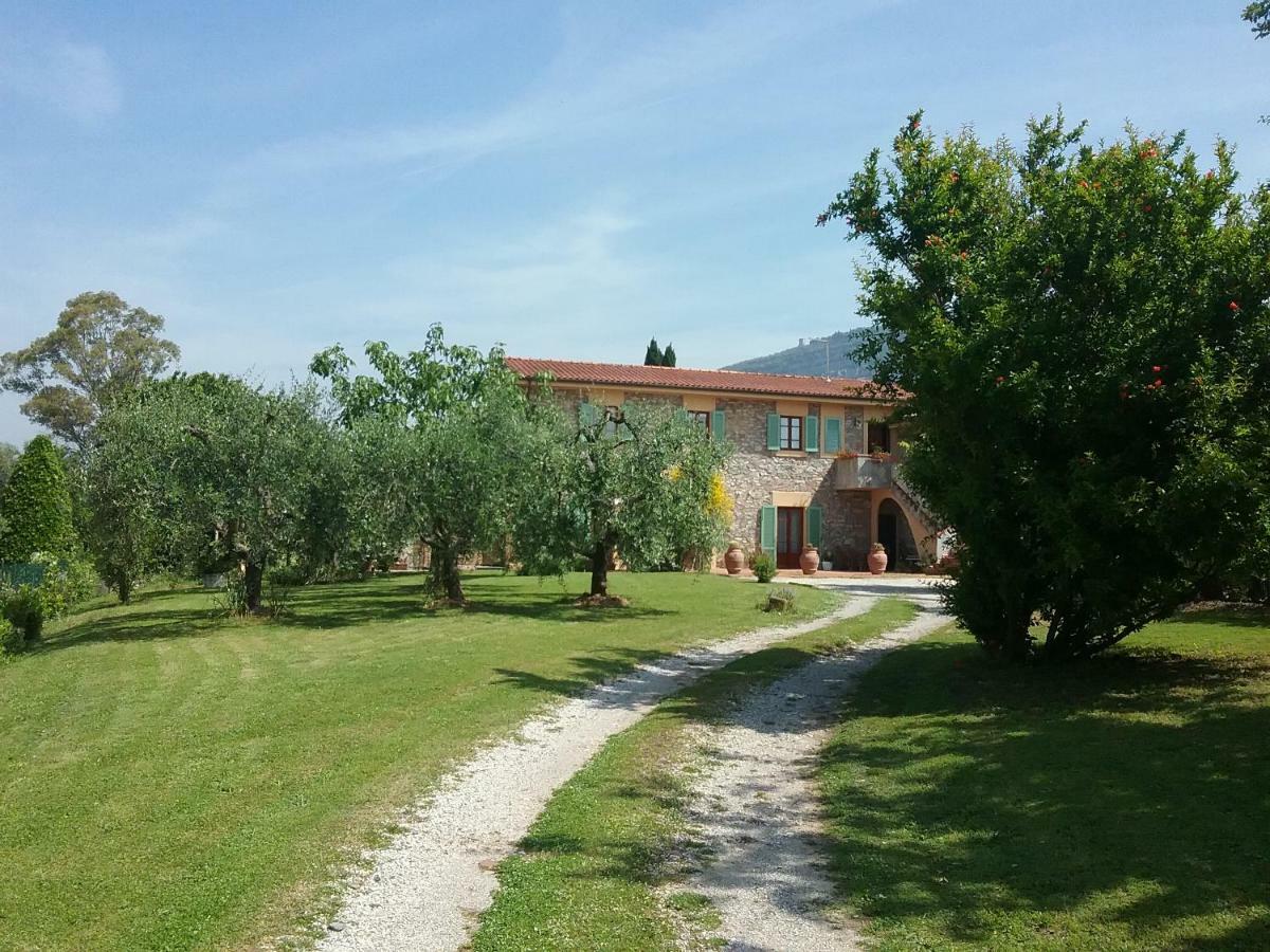 Locazione Turistica La Ginestra Apartment Monsummano Terme Bagian luar foto